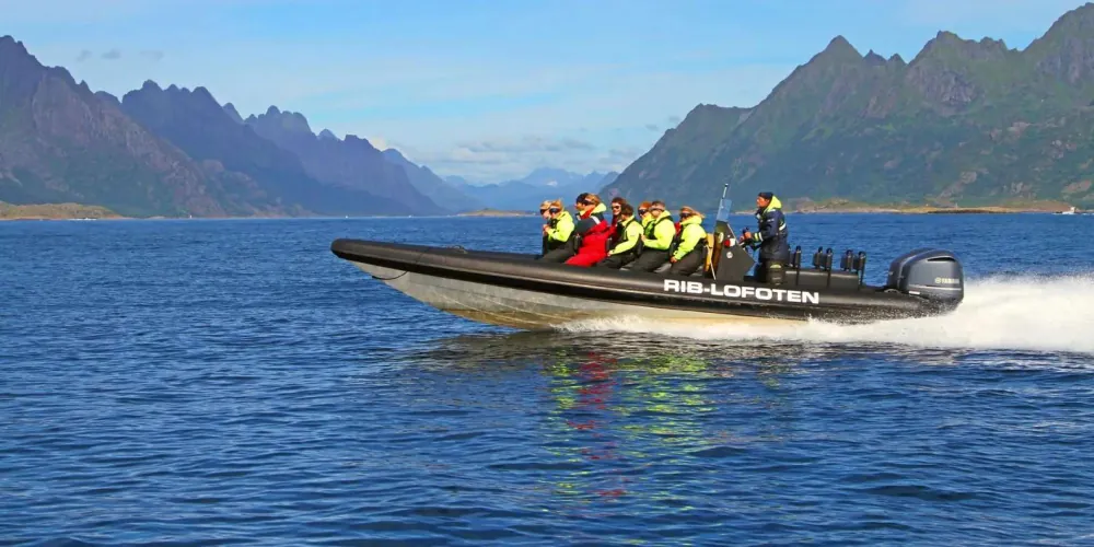 From Svolvær: Lofoten RIB Sea Eagle Safari Trollfjord Cruise
