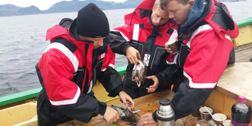 The crew helping passengers clean and pack their catch on deck