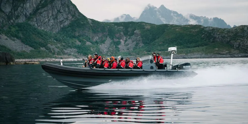 From Svolvær: RIB Boat Lofoten Trollfjord Sea Eagle Safari