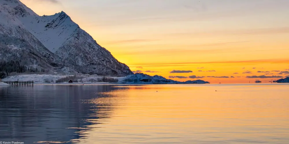 Golden midnight-sun light over the fjord from the sea eagle safari