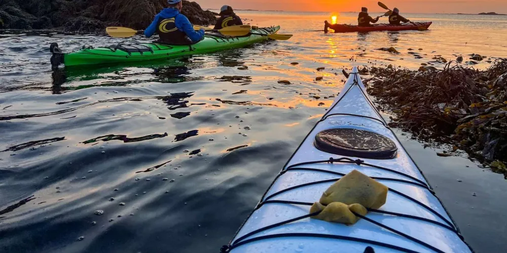 Green sea kayaks gliding between islands and kelp in the evening calm